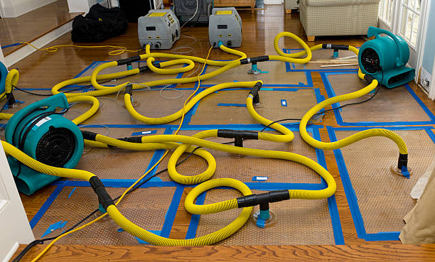 Professional Burst Pipe Water Damage technician working in Hampton Bays, NY